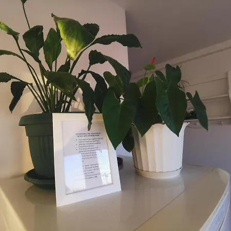Apartment Apartman Studentski Trg